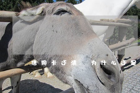 信用卡还清 为什么还是逾期 信用卡还清 为什么还是逾期
